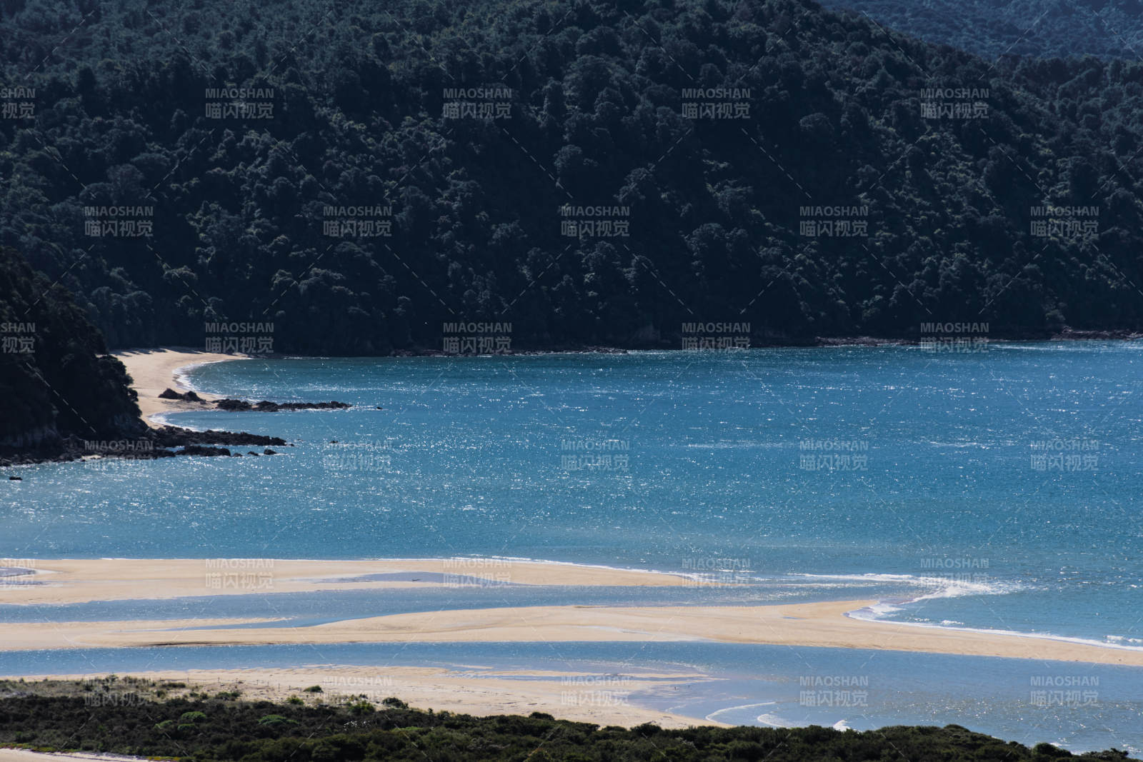 海滨森林与碧蓝海水图片