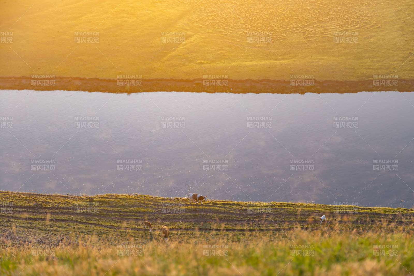 湖畔黄昏 静谧田野图片