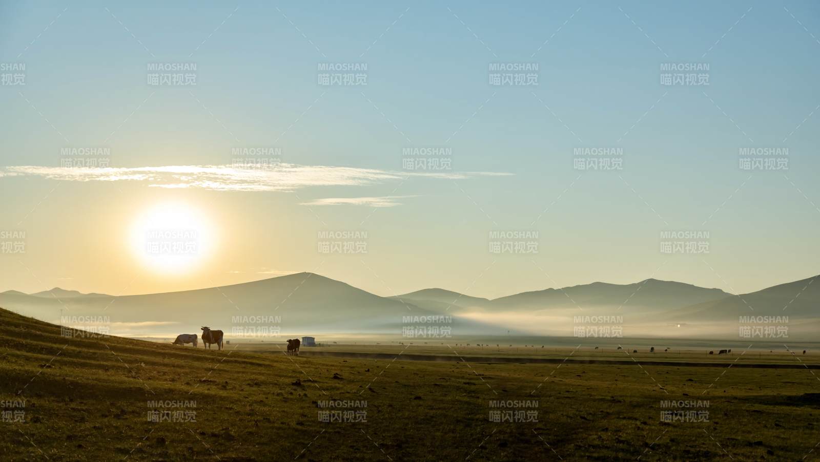 草原日出 宁静晨光图片