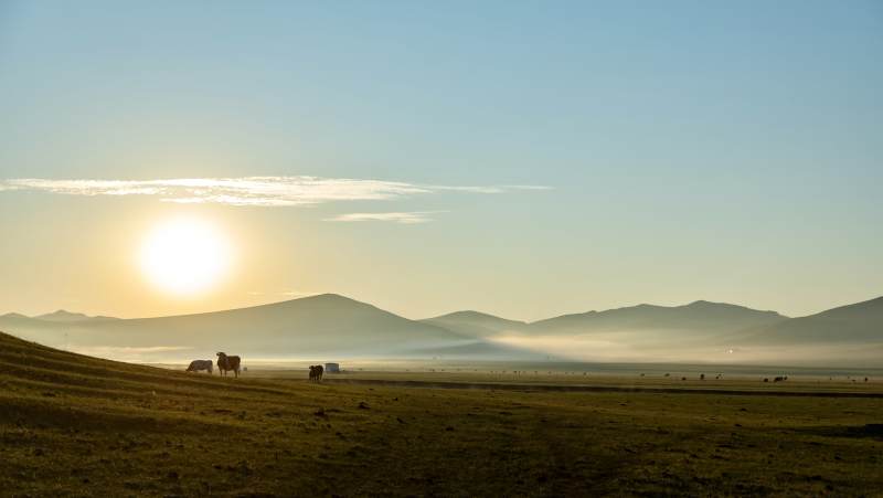 草原日出 宁静晨光图片