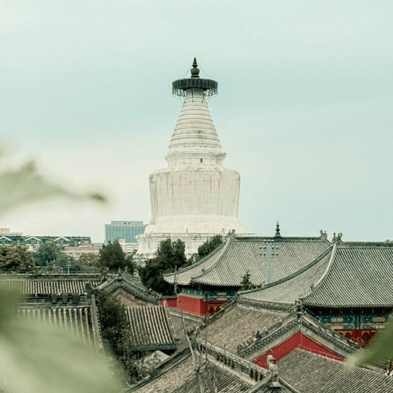 古塔与传统建筑群景图片