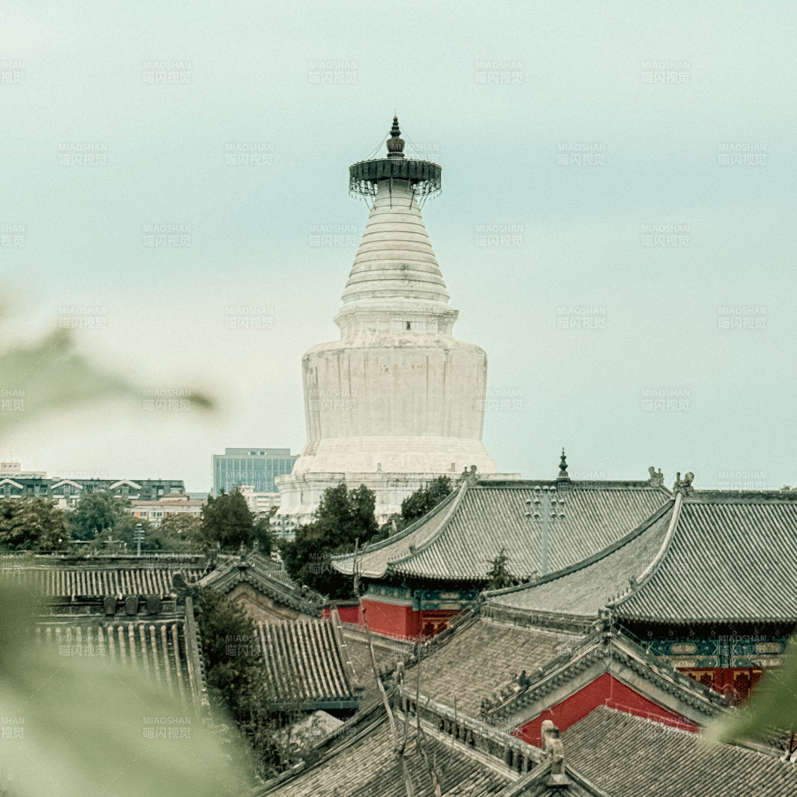 古塔与传统建筑群景图片