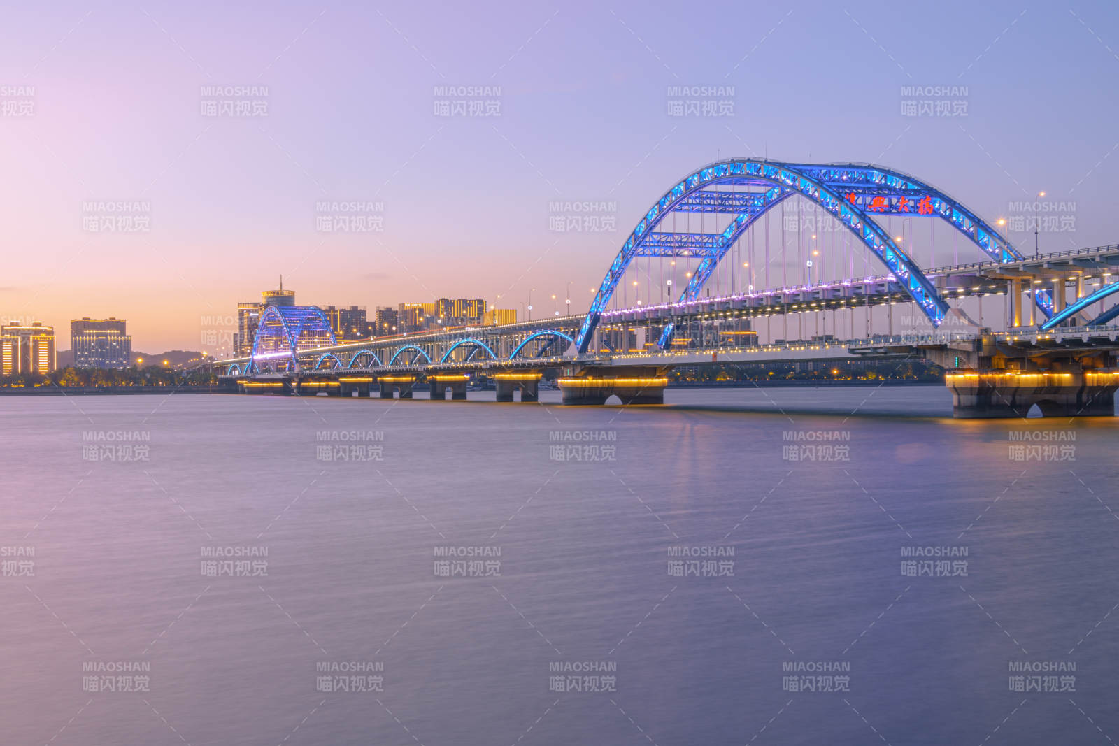 夜色中的复兴大桥图片