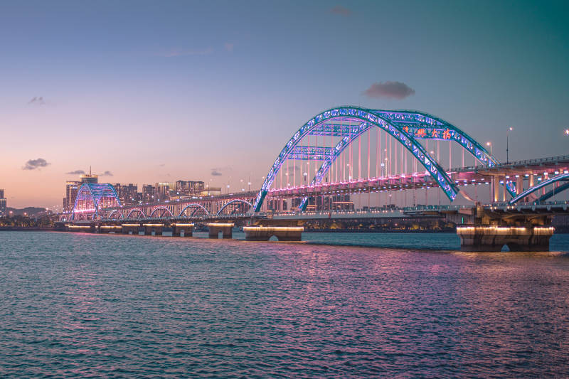 夜幕下的复兴大桥图片