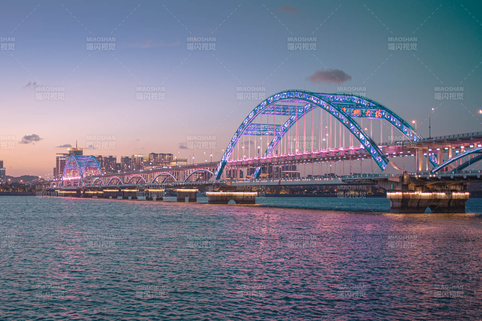 夜幕下的复兴大桥图片