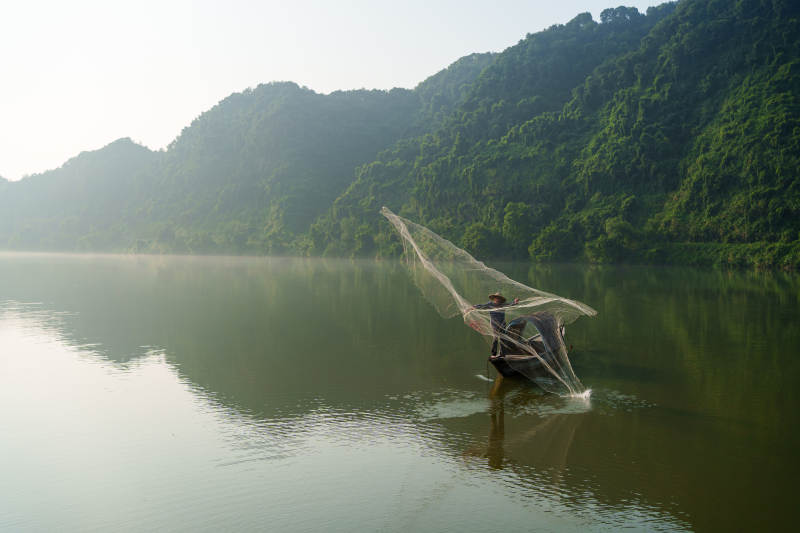 晨雾中撒网捕鱼图片