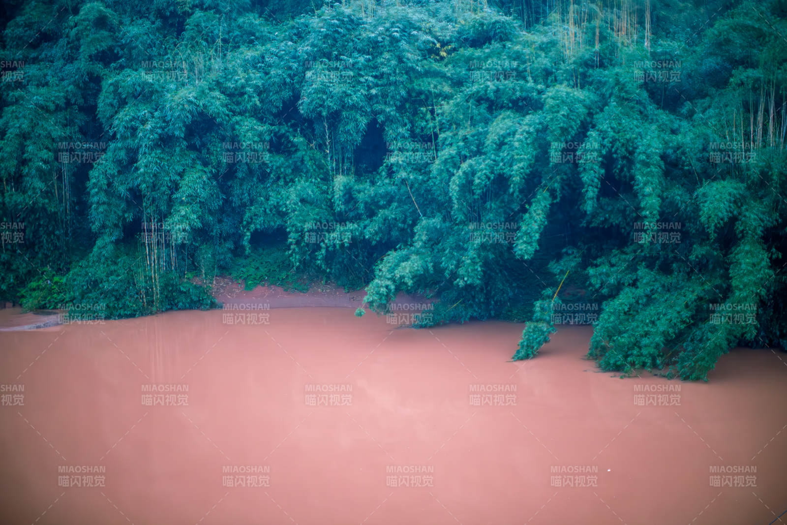洪水淹没竹林 赤水竹海图片