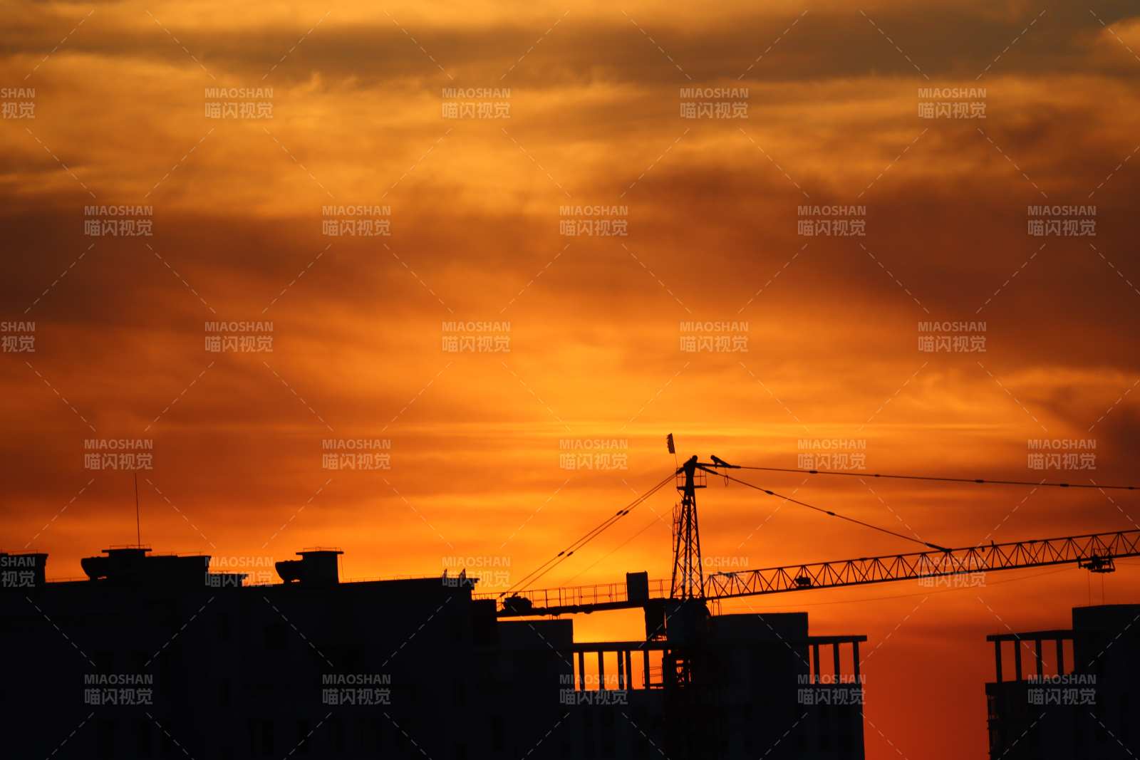 夕阳下的剪影图片