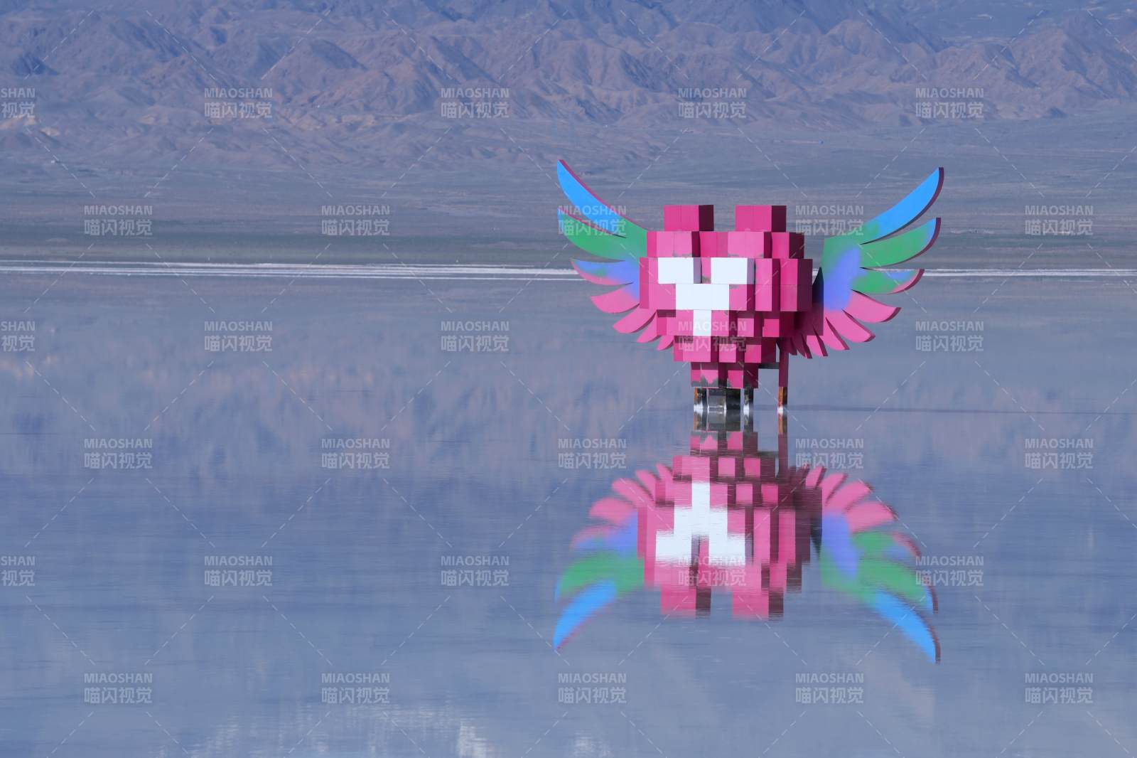 茶卡盐湖中的粉色爱心图片