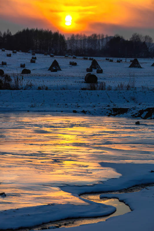 冬日夕阳映雪景图片