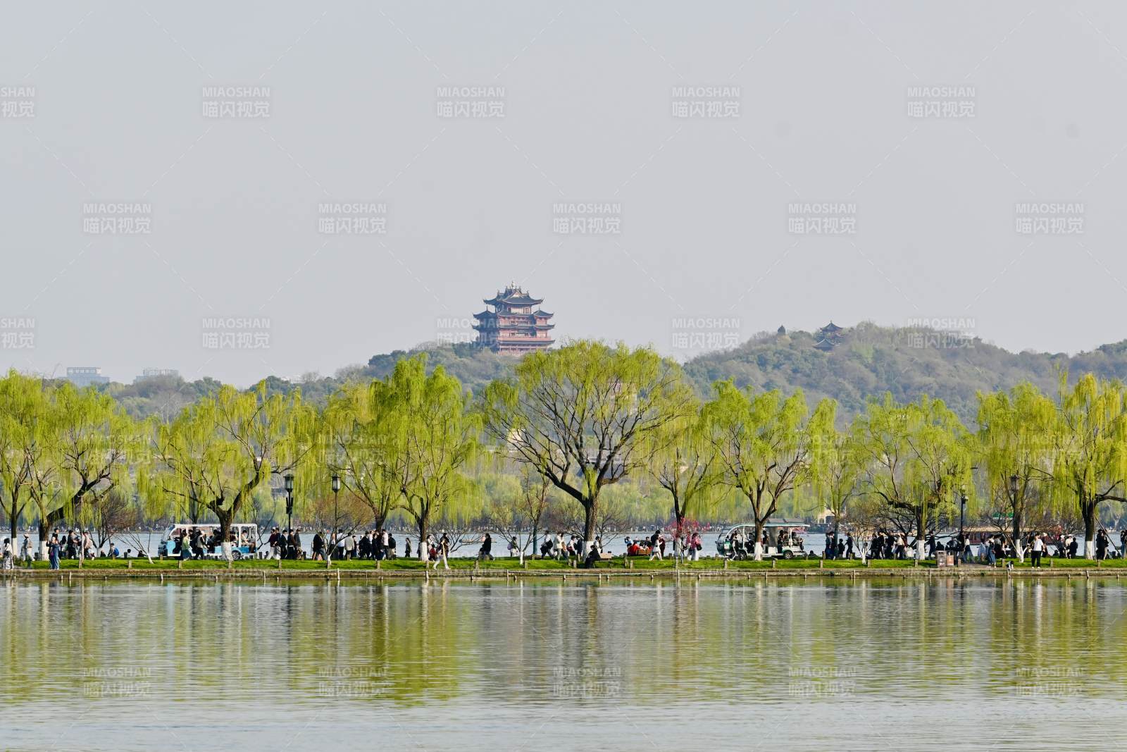 杭州西湖春景 游人如织图片