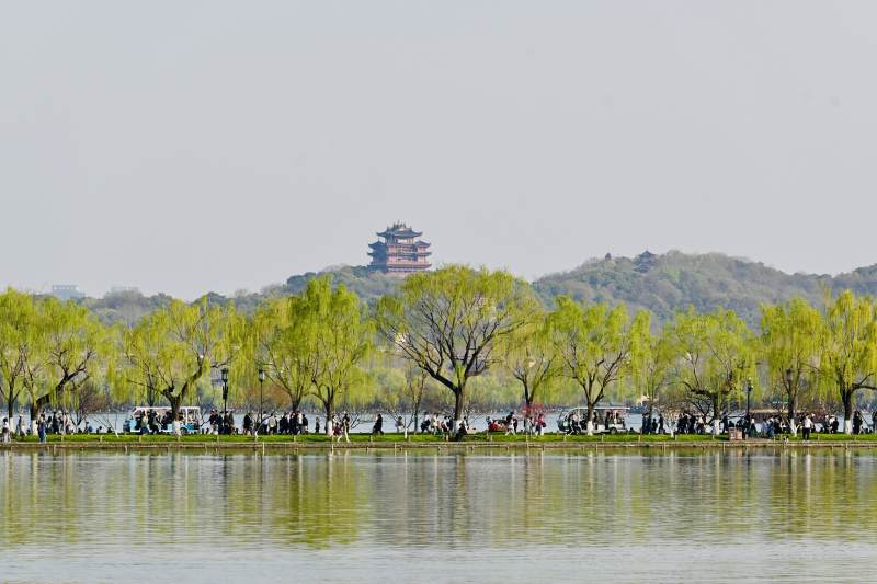 杭州西湖春景 游人如织图片