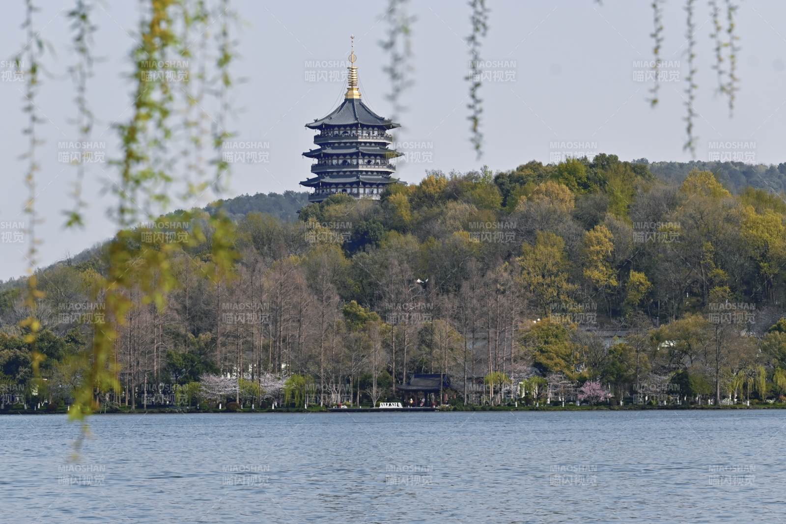 杭州西湖雷峰塔春景图图片