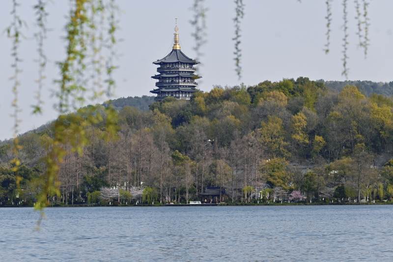 杭州西湖雷峰塔春景图图片