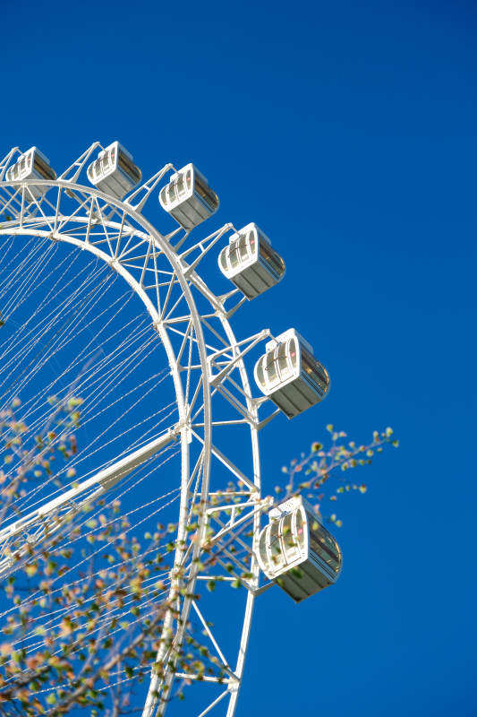 蓝天下的摩天轮图片