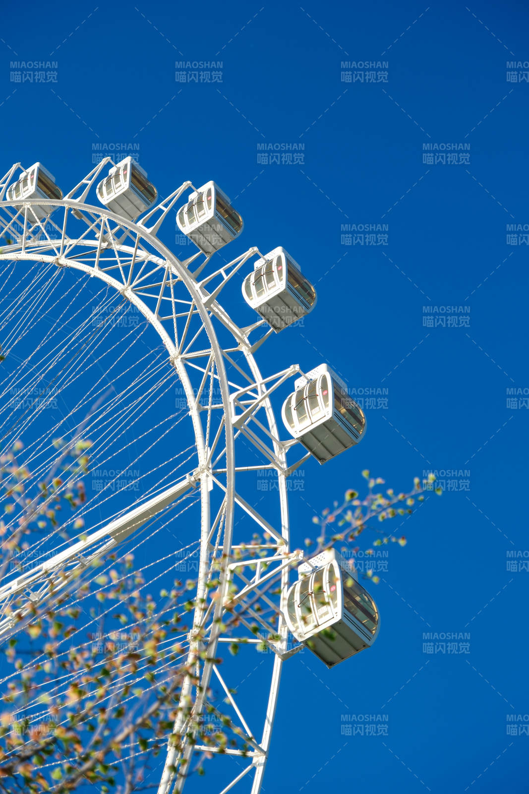 蓝天下的摩天轮图片