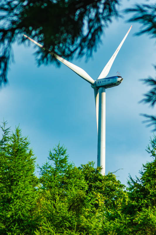 风车与绿树蓝天相映成趣图片