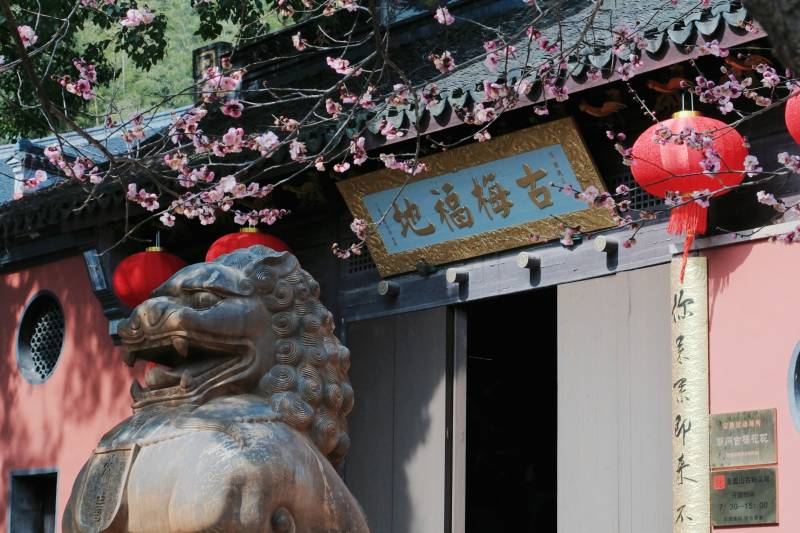 古梅地福寺春景图图片