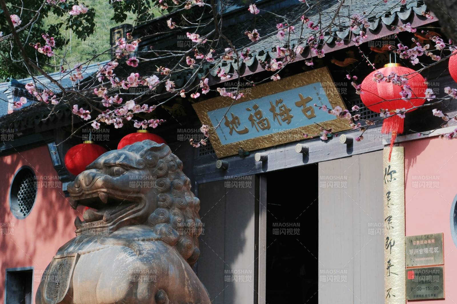 古梅地福寺春景图图片