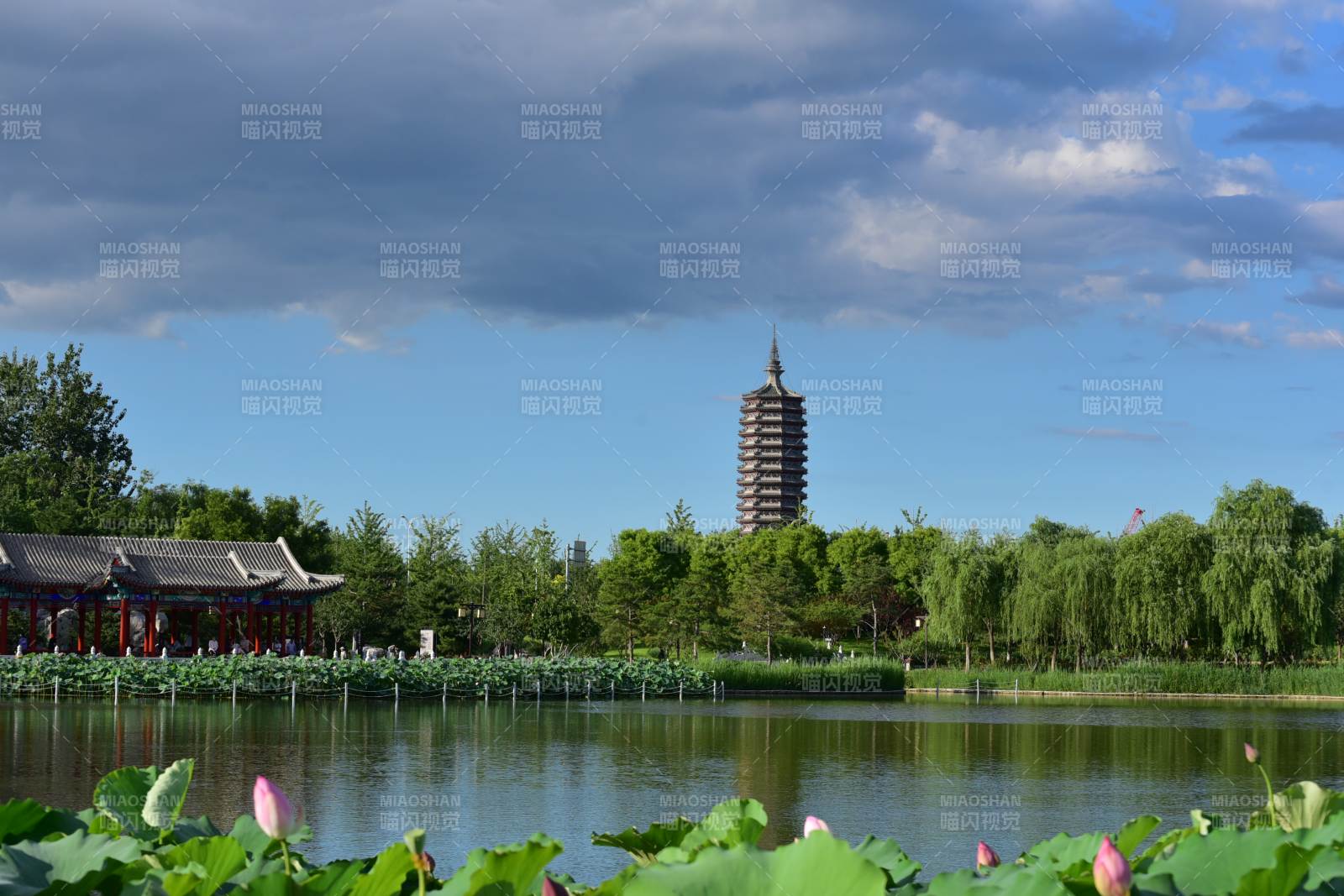 湖畔塔影 绿树成荫图片