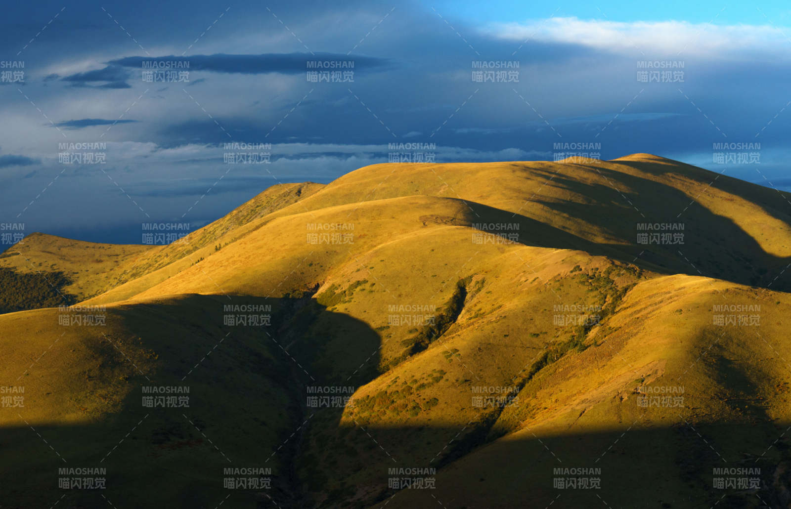 夕阳下的金色山丘图片