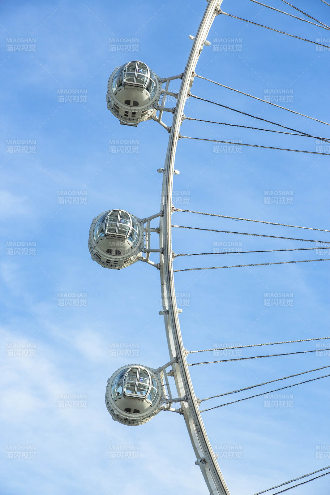 湾区之光 摩天轮 3图片