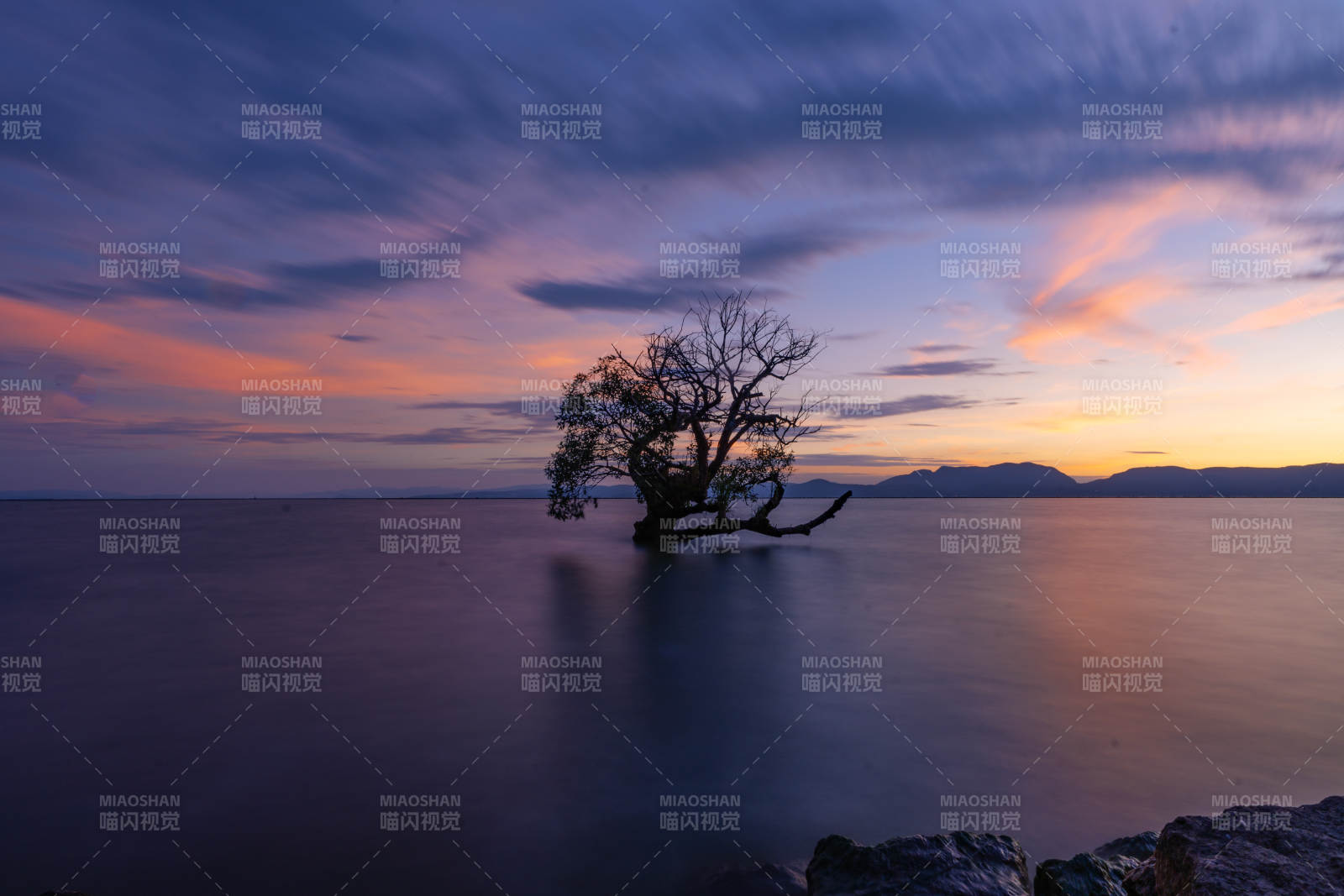 湖畔孤树映霞光图片