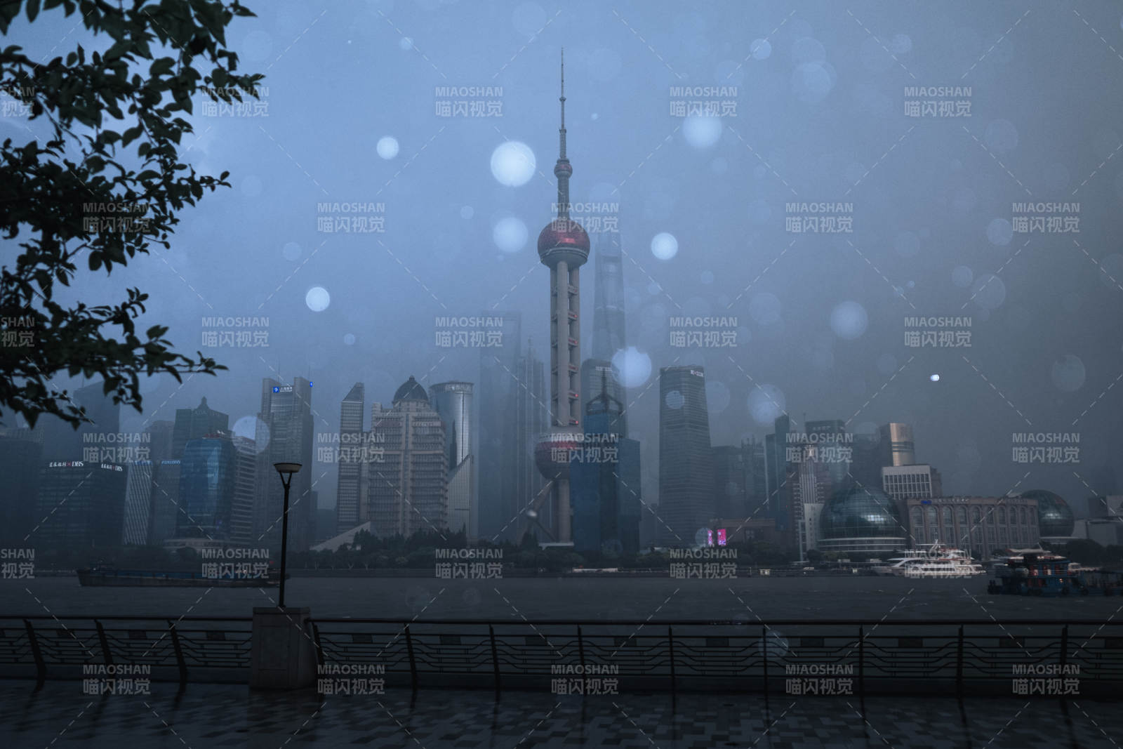 雨夜上海 东方明珠静谧景图片