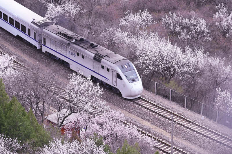 列车穿越花海图片