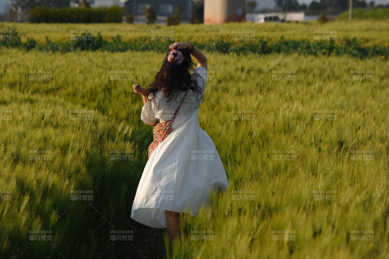 田野中的自由舞者图片