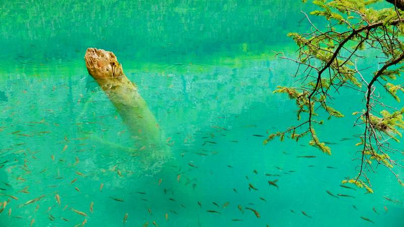 九寨归来不看水图片