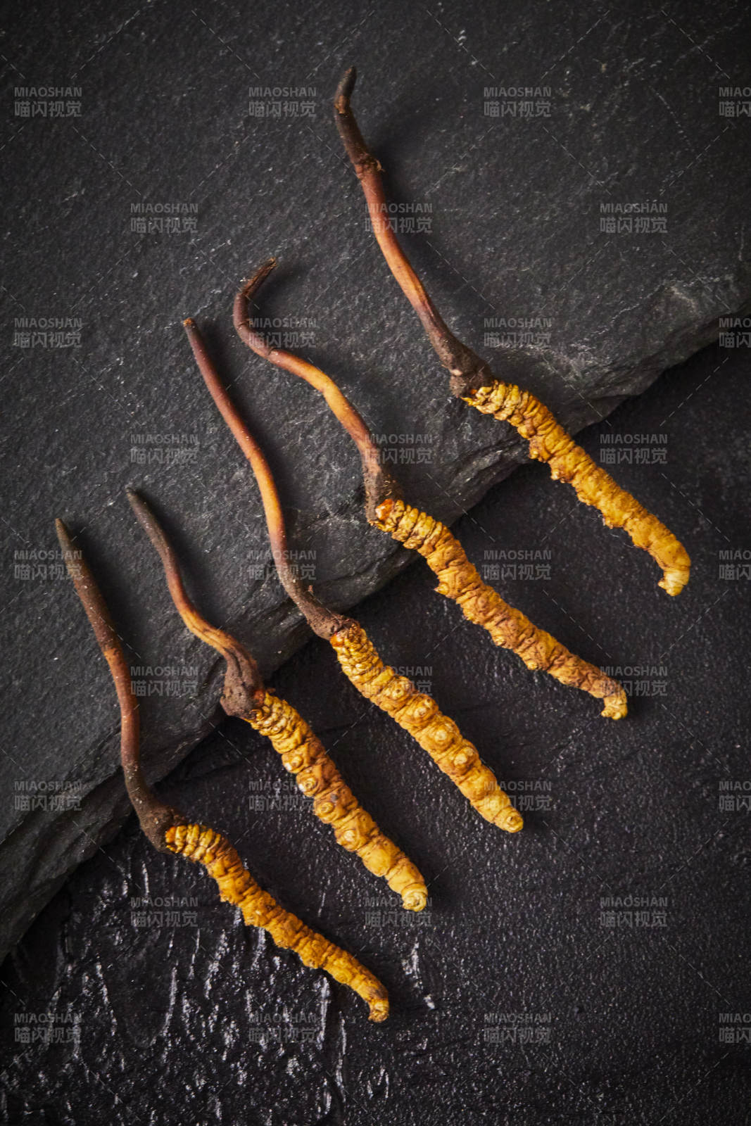 冬虫夏草特写图图片