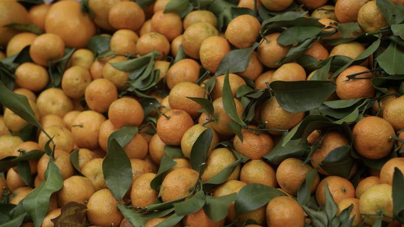 新鲜柑橘堆满画面图片