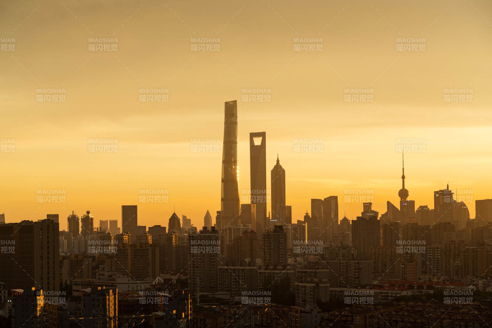 金色时刻下的陆家嘴图片