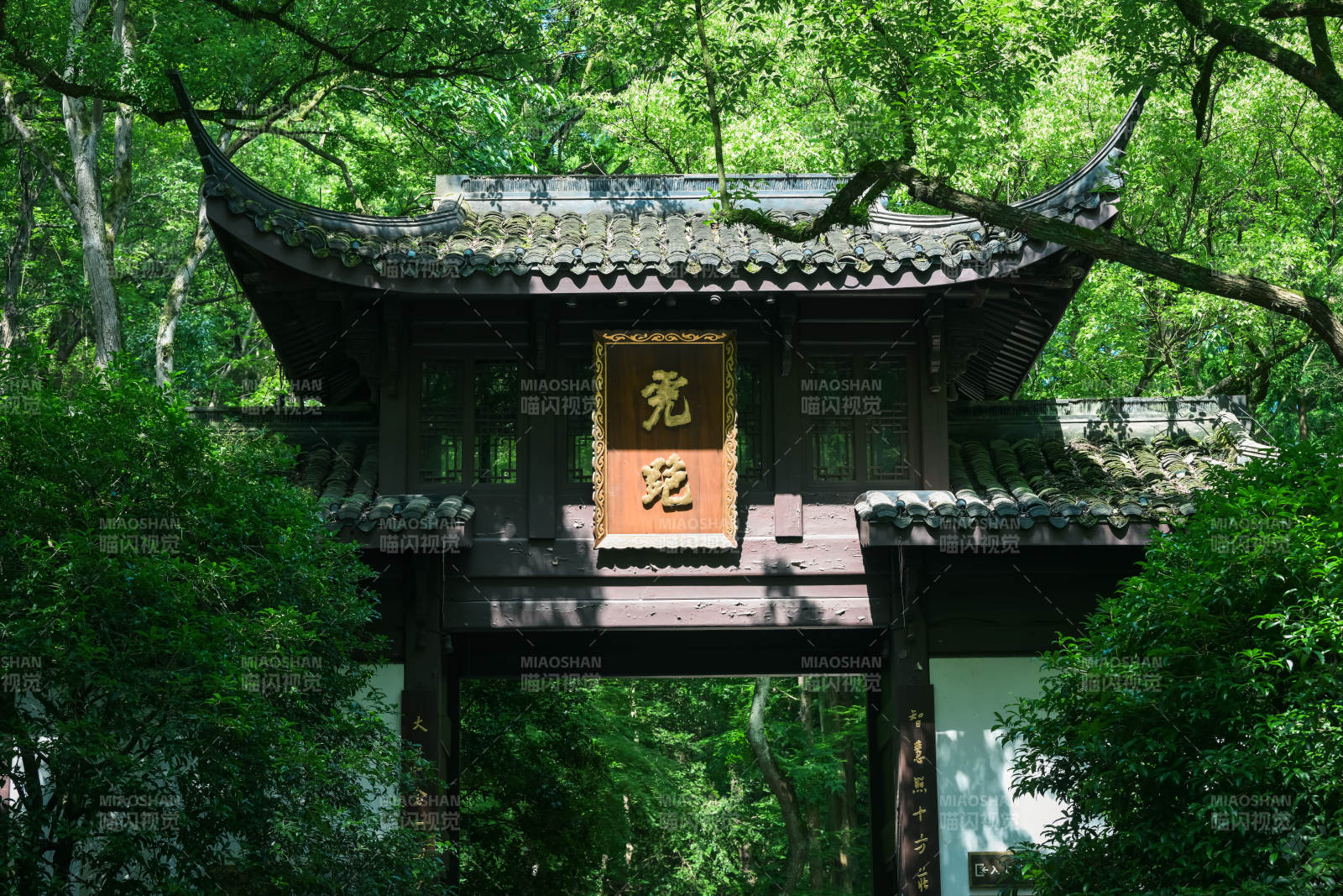 杭州虎跑公园绿树成荫图片