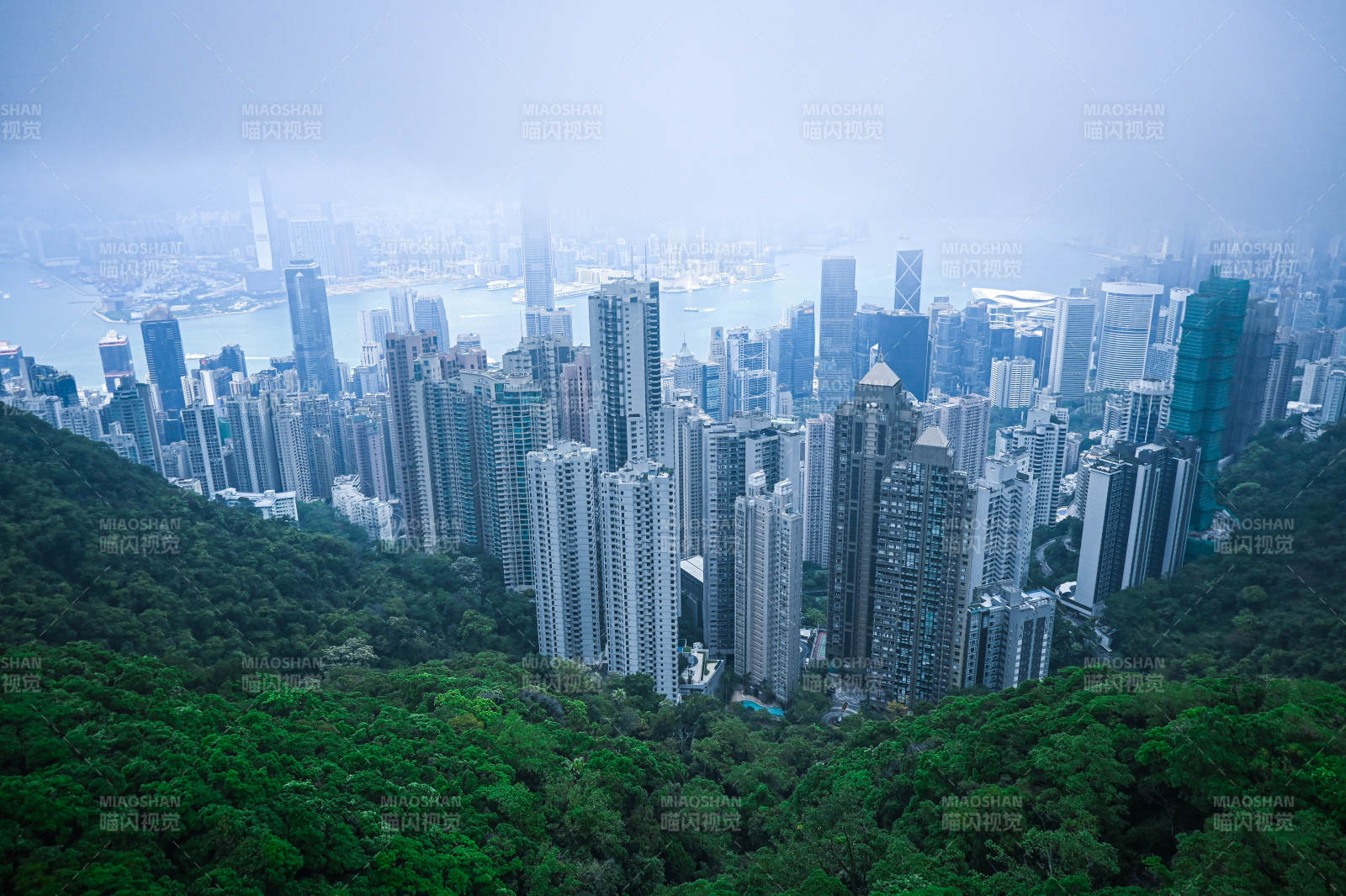 雾中城市高楼林立图片