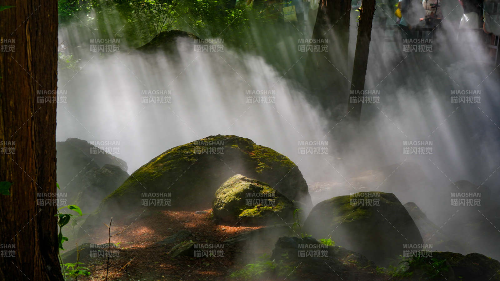 森林瀑布 雾气缭绕图片