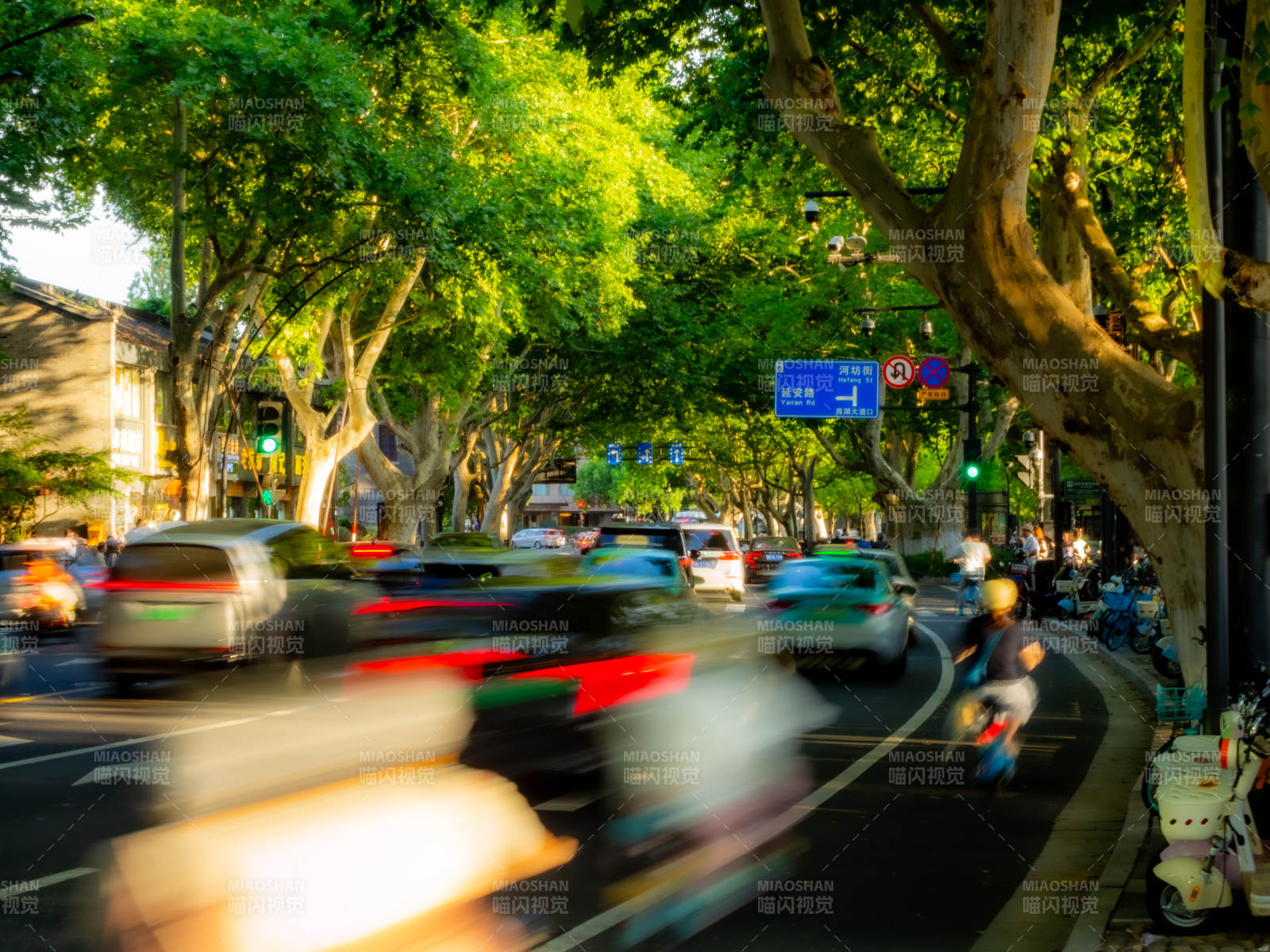 西湖边城市绿荫下的繁忙街道图片