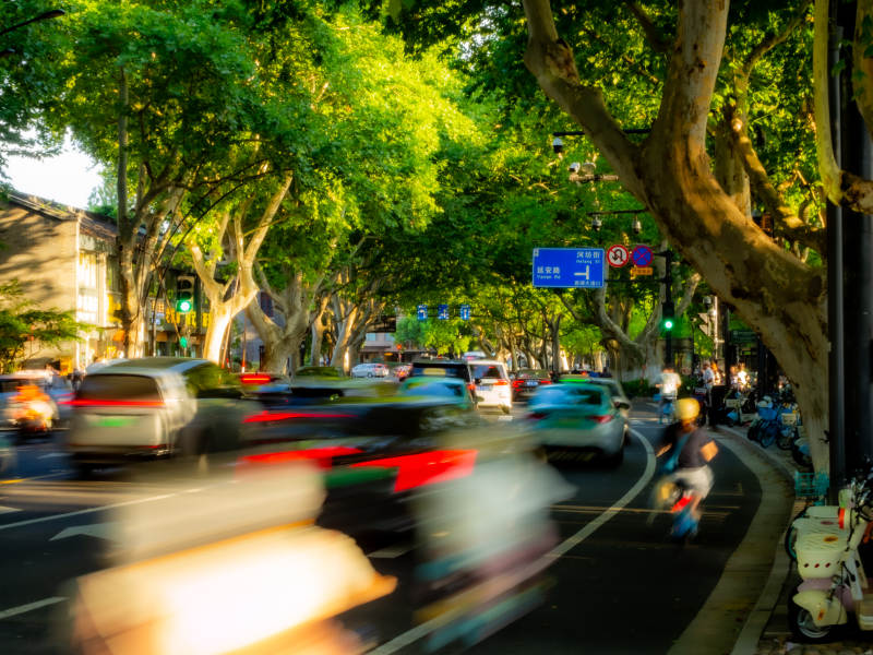 西湖边城市绿荫下的繁忙街道图片