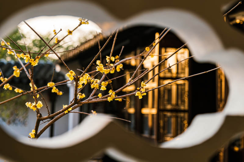 窗棂映梅香 古韵悠然图片