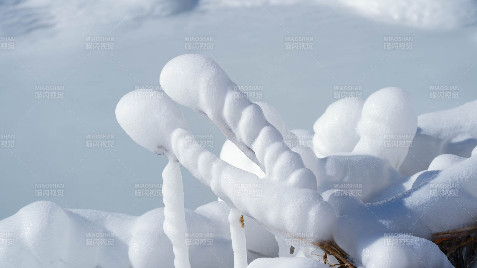 雪中冰柱的独特形态图片