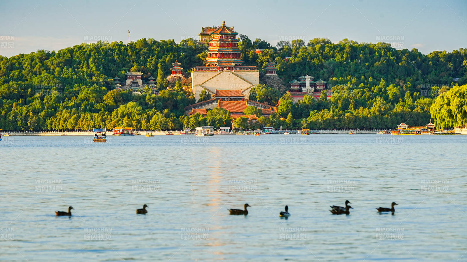 颐和园湖畔风光图片