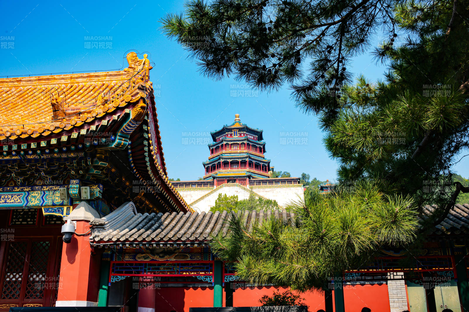 颐和园塔楼与古建筑图片