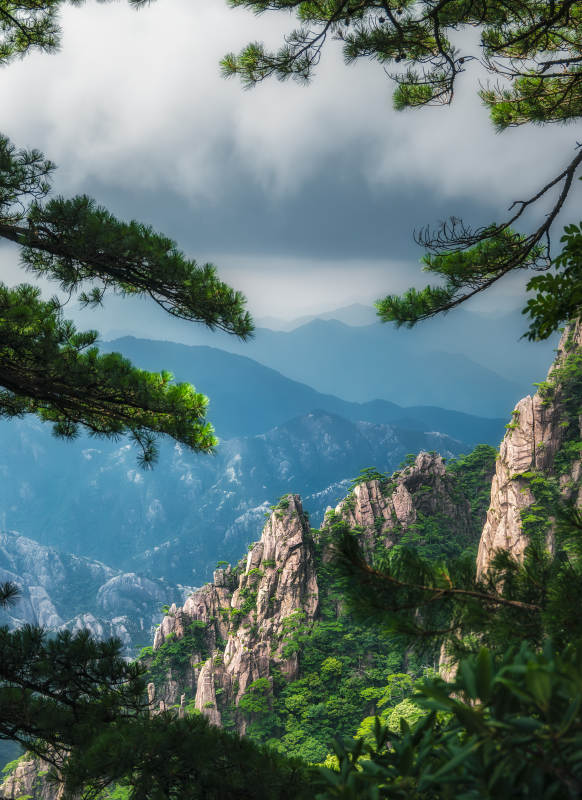 黄山奇松云海仙境图片