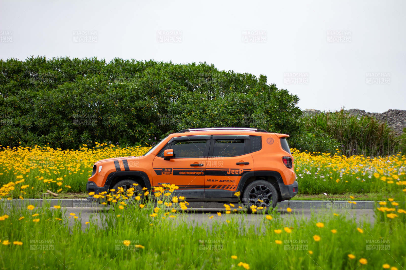 橙色越野车穿行花海中图片
