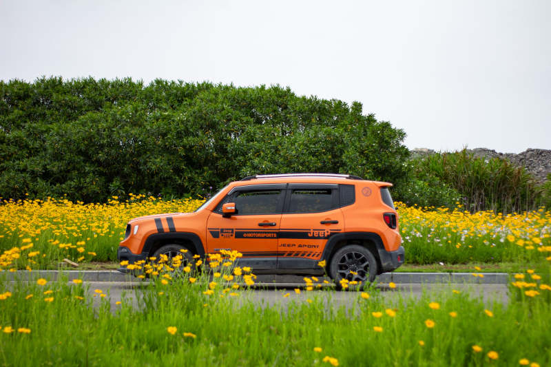 橙色越野车穿行花海中图片
