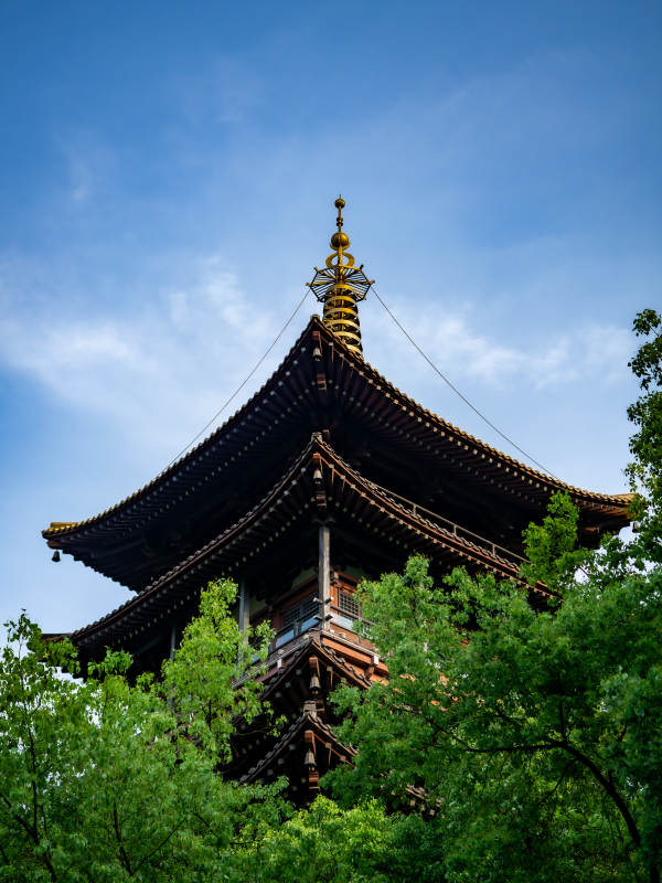 杭州鼓楼低角度拍摄自己绿树映蓝天图片