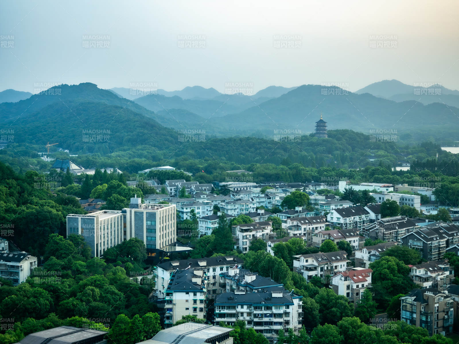 在杭州城隍阁顶拍摄的居民楼和绿树图片