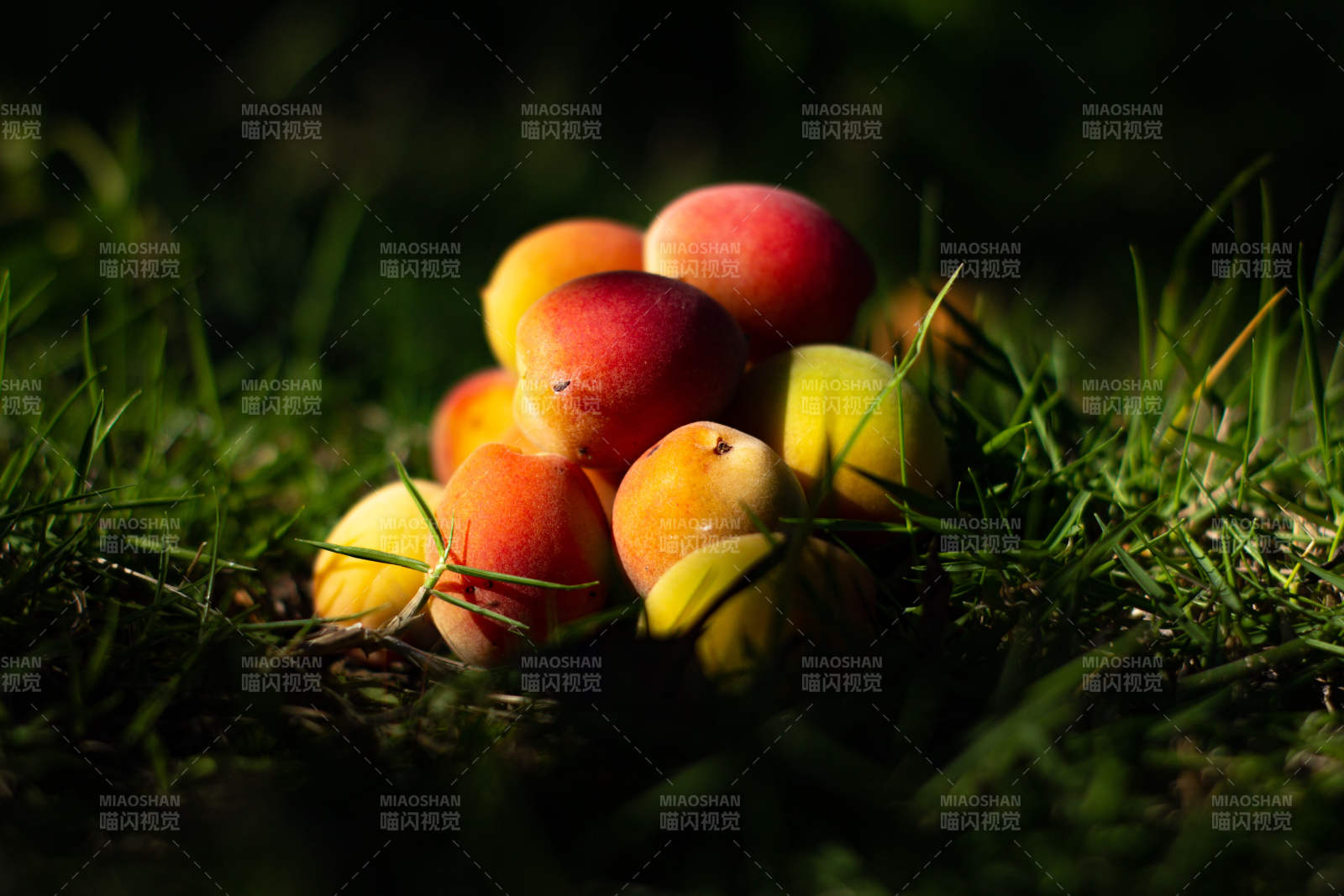 草地上的新鲜果实图片