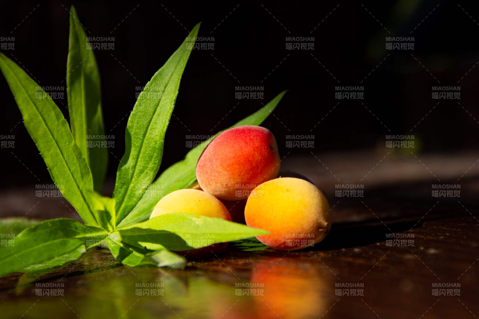 杏子与绿叶的静谧时光图片